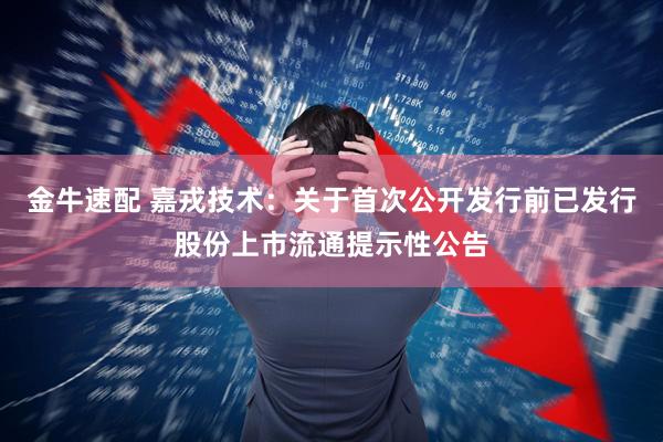 金牛速配 嘉戎技术：关于首次公开发行前已发行股份上市流通提示性公告
